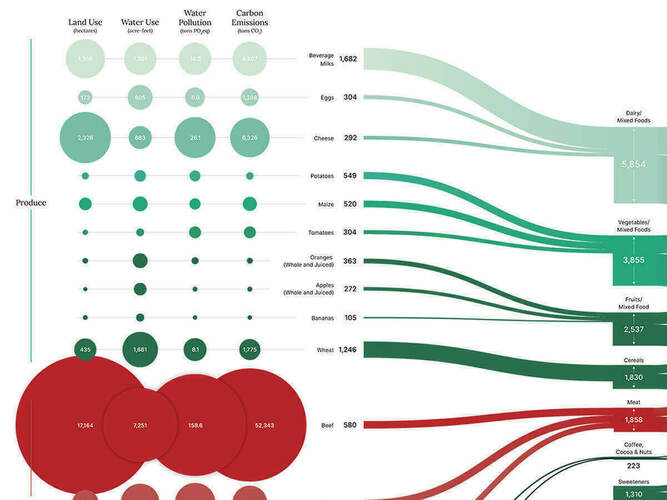 graphic of impacts showing flows of food products
