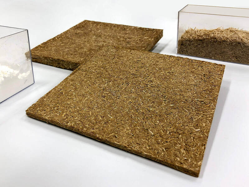 photo of compression molded samples of fiber board